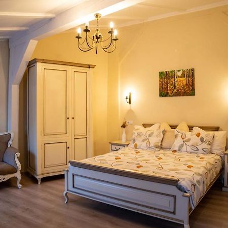 Oldtownvilla Studio Central Sibiu Exteriér fotografie